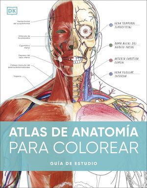 ATLAS DE ANATOMIA PARA COLOREAR