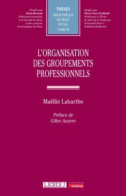 L'ORGANISATION DES GROUPEMENTS PROFESSIONNELS