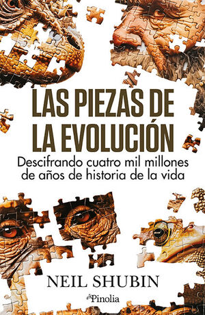 LAS PIEZAS DE LA EVOLUCIÓN.