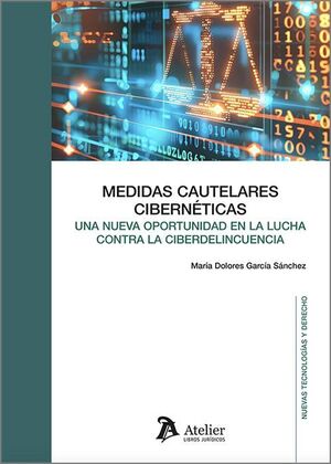 MEDIDAS CAUTELARES CIBERNETICAS